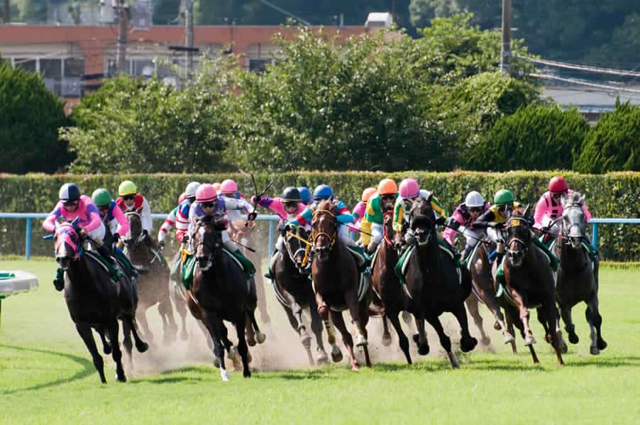 Paypayでできるギャンブル 競馬