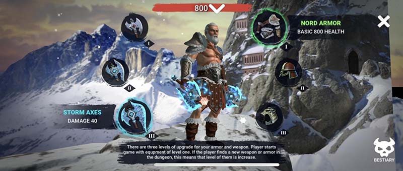 Dungeon Immortal Evil 装備